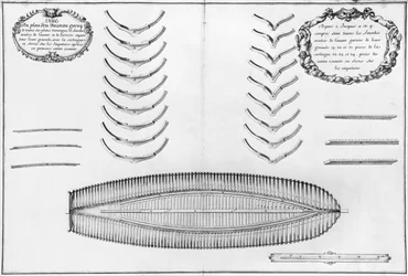 Plan eines Schiffes mit allen Bodenplatten und Gabeln, Illustration aus dem 